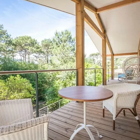 Des Sittelles Au Cap Ferret