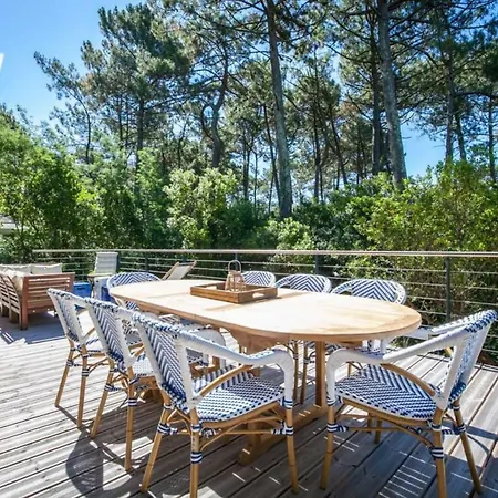 Des Sittelles Au Cap Ferret * Lège-Cap-Ferret